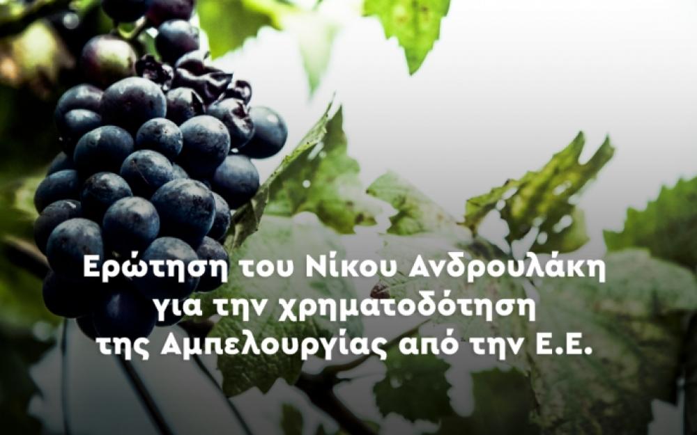 Νίκος Μπουνάκης Ερώτηση του Ευρωβουλευτή κ. Νίκου Ανδρουλάκη, μετά από συνεργασία που είχε με τον Γραμματέα του Τομέα Αγροτικού του ΠΑΣΟΚ κ. Νίκου Μπουνάκη για την χρηματοδότηση της Αμπελουργίας από την ΕΕ