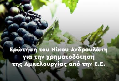 Νίκος Μπουνάκης Ερώτηση του Ευρωβουλευτή κ. Νίκου Ανδρουλάκη, μετά από συνεργασία που είχε με τον Γραμματέα του Τομέα Αγροτικού του ΠΑΣΟΚ κ. Νίκου Μπουνάκη για την χρηματοδότηση της Αμπελουργίας από την ΕΕ